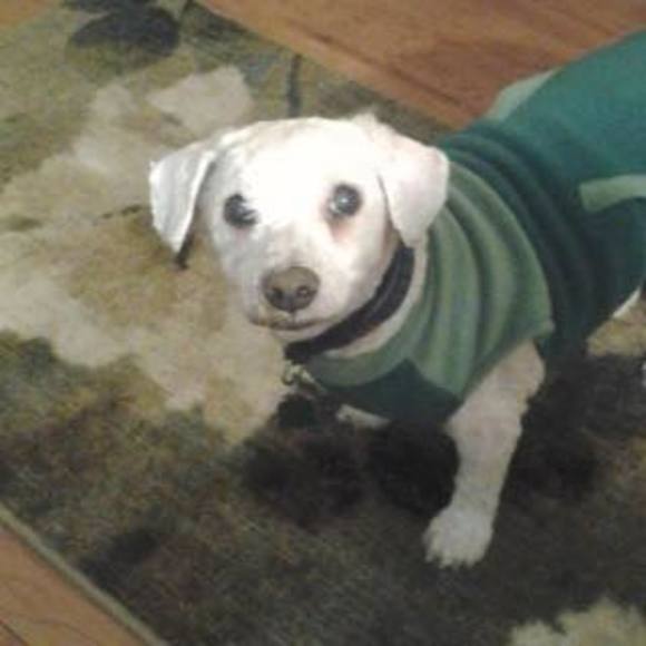 Meet your Posher, Jennifer - Picture 1 of 1